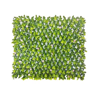 Bitki Kafesi Dış Mekan