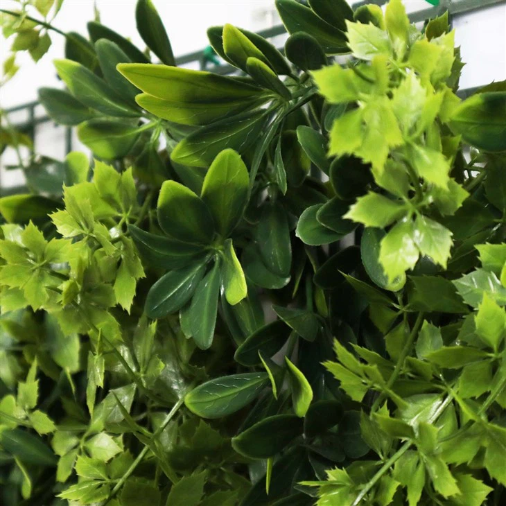 Vertical Green Wall
