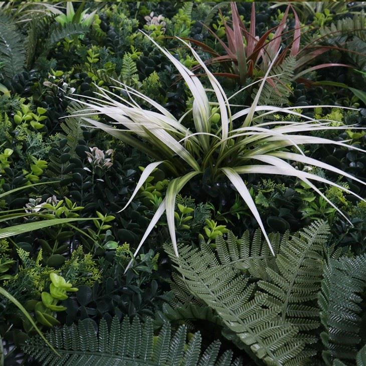 Living Room Indoor Plant Wall