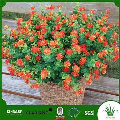 Sahte Saksı Bitkileri