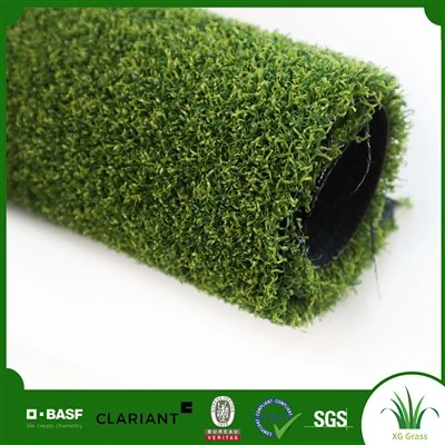 Golf arka bahçe için yeşillikler koyuyor