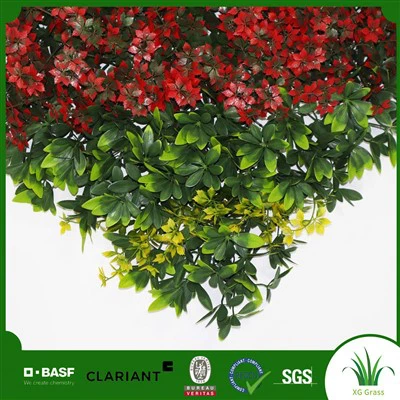 Apartmanda Çim Duvar