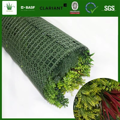 Asılı Bitkiler Duvar Kapalı