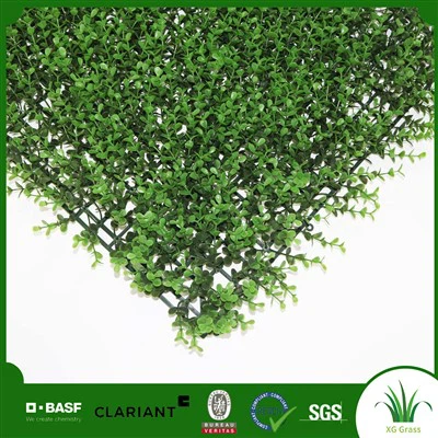 Kapalı Duvara Asılan Bitki Bahçesi