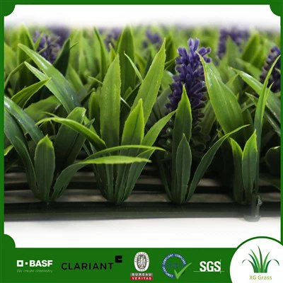 İç Dikey Bahçe Duvarı