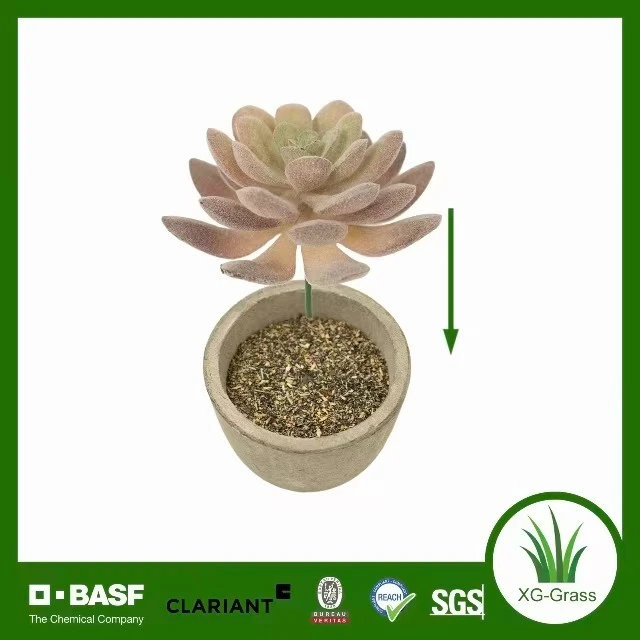 Unfading Mini Succulent Decor best