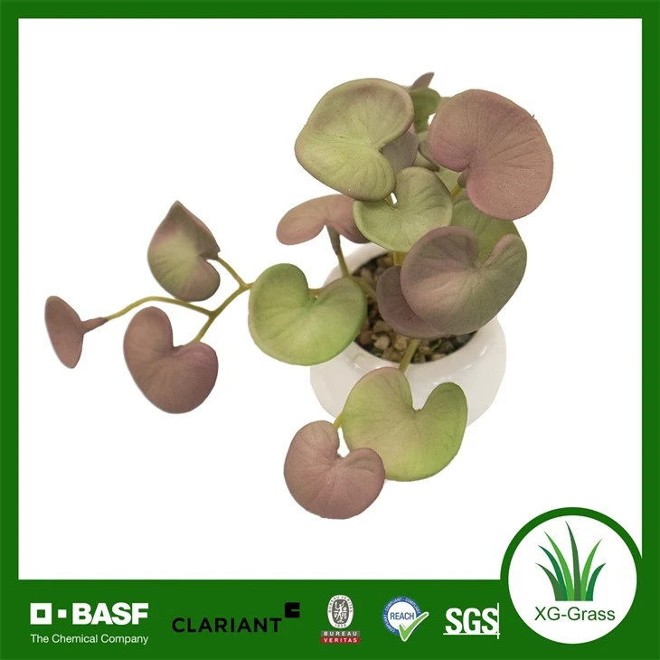 Xingu Faux Succulent Arrangements For Indoor And Outdoor Spaces factory