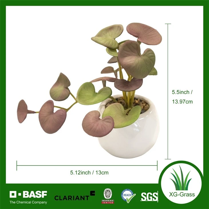 Xingu Faux Succulent Arrangements For Indoor And Outdoor Spaces high quality